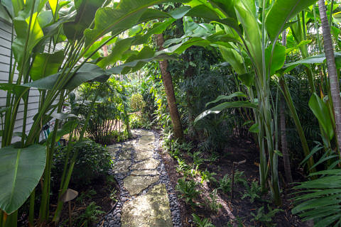 1716 Seminary Street garden walkway
