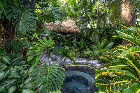 1716 Seminary St Spa