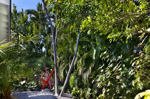 1517 Washington St. Key West, Backyard