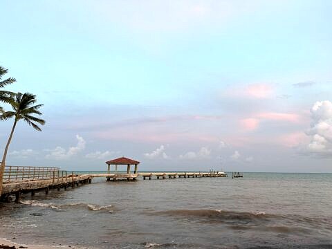 Key West Real Estate Agent