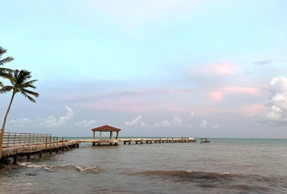 Key West Real Estate Agent