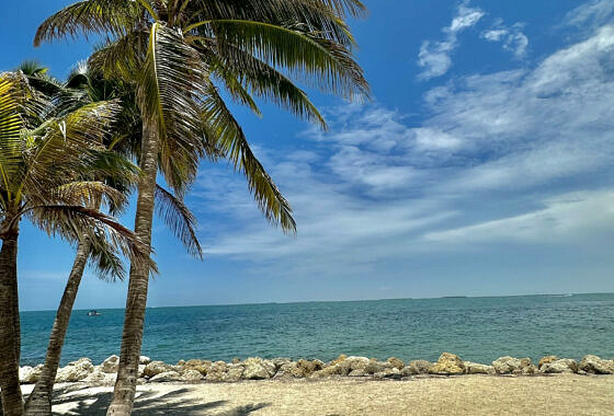 Key West Realtor